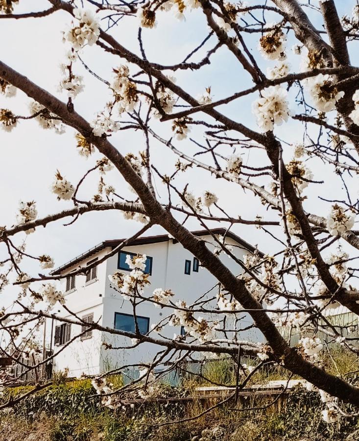 Casa Peidaigo Immersa Nel Verde,Vista Mare E Monti Ventimiglia Exterior foto